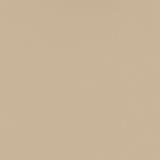 Beige Mist Metallic - Textured