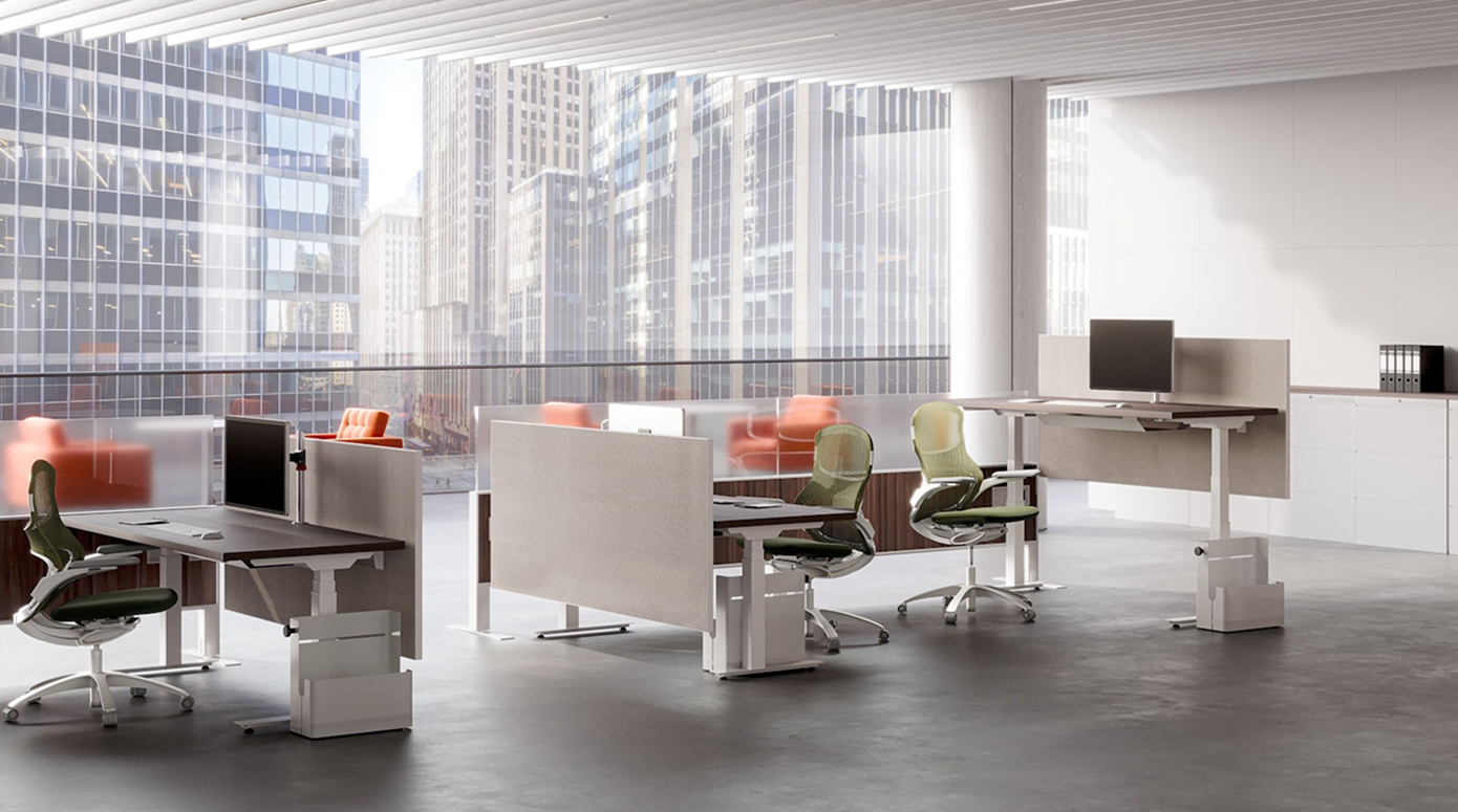 Dividends Skyline - Spine FPO 4