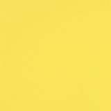 Canary Yellow